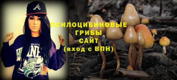 бошки Медвежьегорск