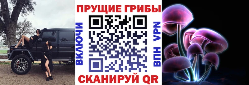 Псилоцибиновые грибы мухоморы  блэк спрут ССЫЛКА  Воронеж 