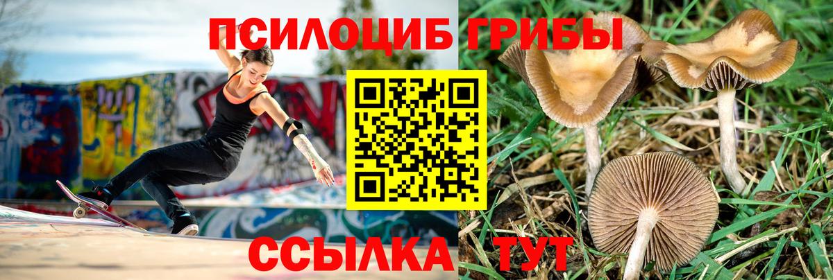 где можно купить наркотик  Галлюциногенные грибы Magic Shrooms  Вход с VPN  Воронеж 